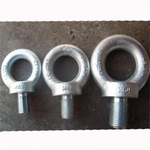 Stainless steel eye bolt